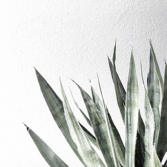 Welcome - Picture 6 of 8